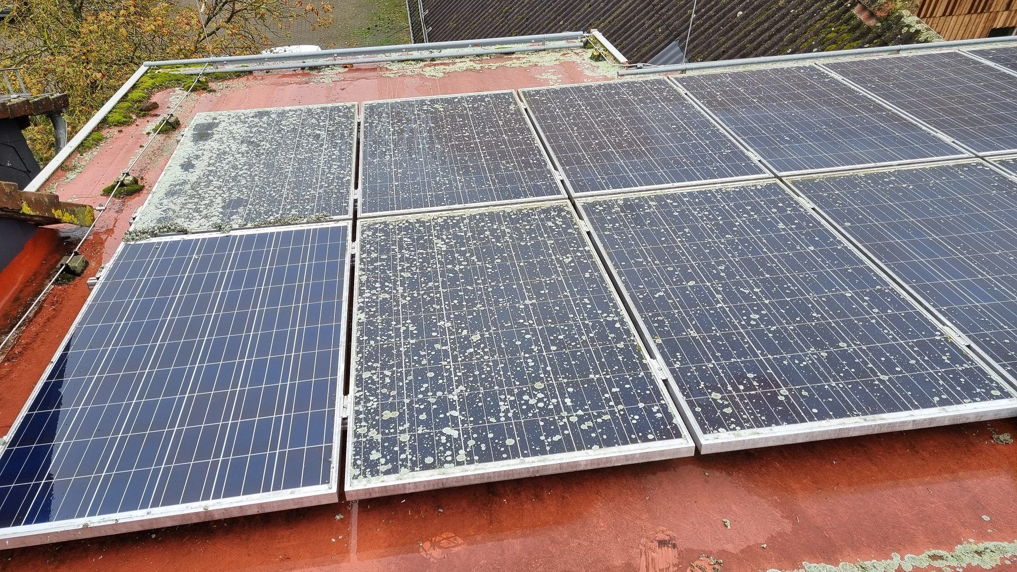 Limpieza de paneles solares con polvo